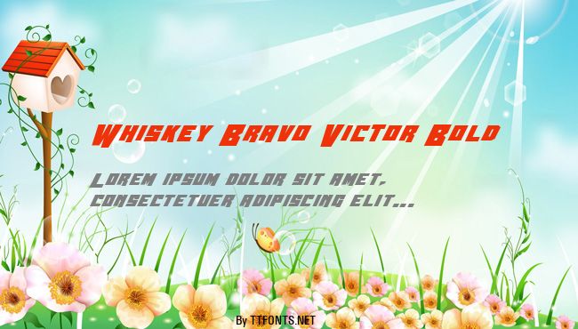 Whiskey Bravo Victor Bold example